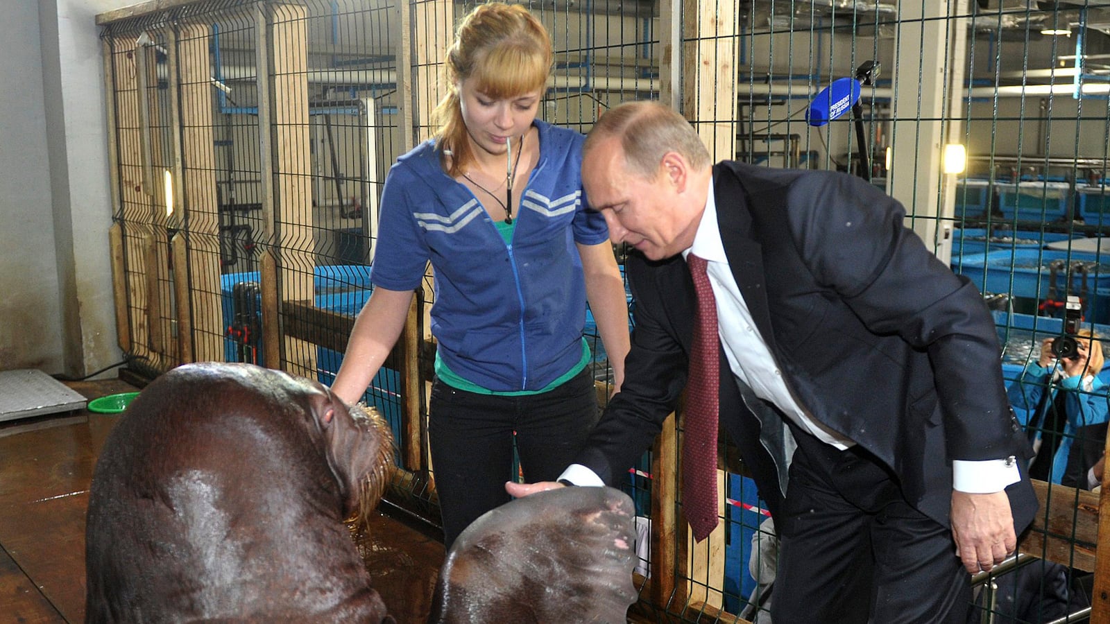 galleries/2013/09/05/17-photos-of-putin-schmoozing-with-animals-photos/130904-putin-seal_twfx2n
