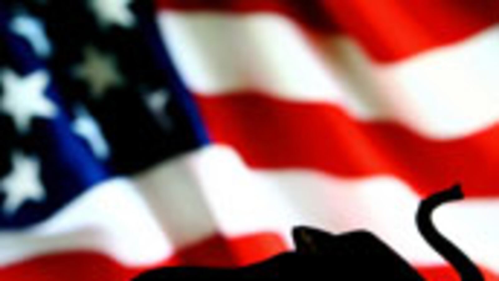 articles/2009/07/10/the-gops-day-of-reckoning/avlon-gop-future_37366_rr32dj