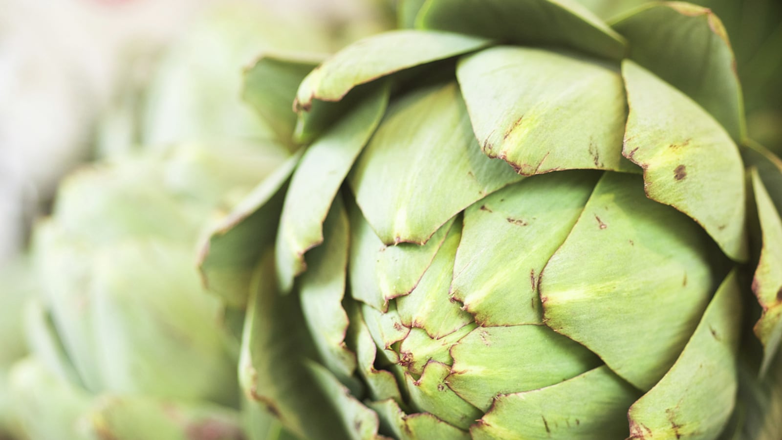 articles/2014/06/01/a-california-tavern-with-an-artichoke-obsession/140530-roadfood-tease_uzzcne