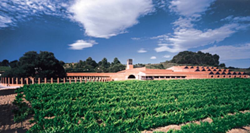 articles/2010/12/29/champagne-alternatives-prosecco-cava-and-cremant-wines/menin-sparkling-wine-3_nyx3ds