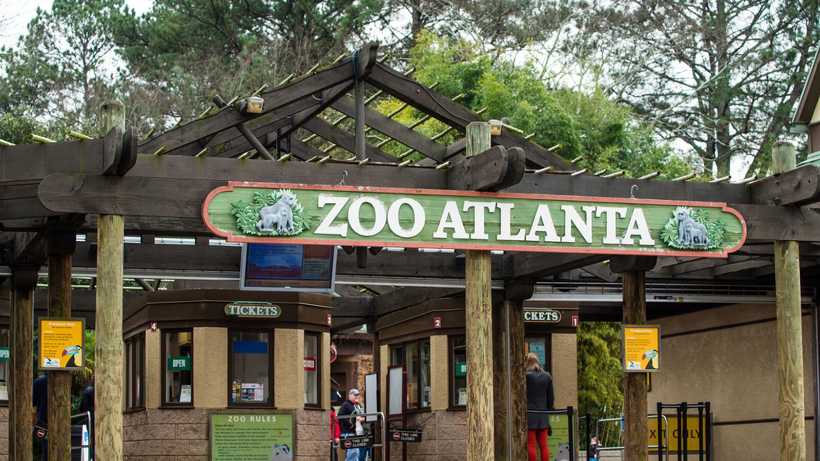 articles/2014/07/10/zoo-atlanta-invites-you-to-a-slumber-party/140708-starbucks-atlanta-zoo-tease_k2auwh