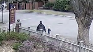 Providence Brown shooter