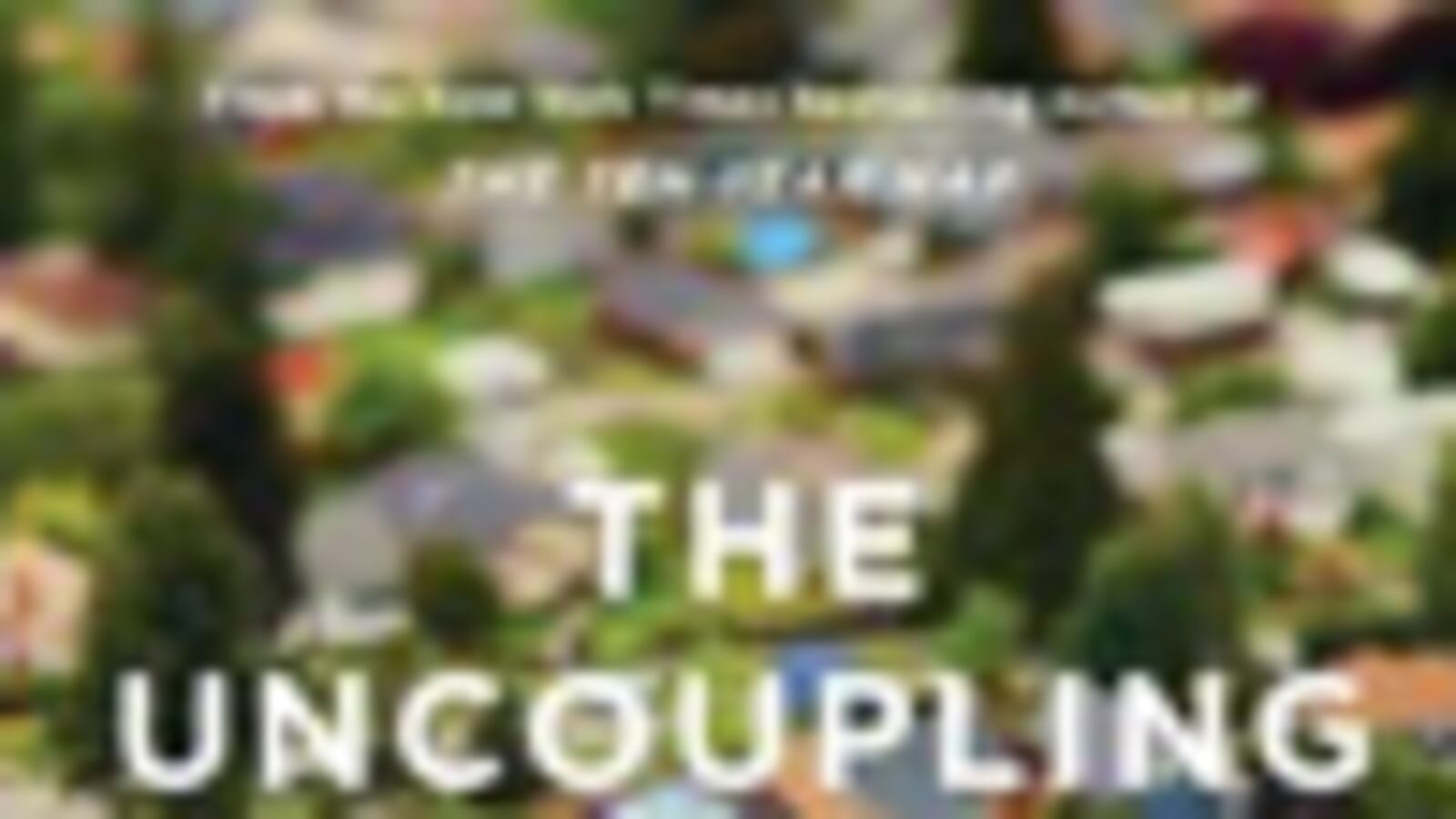 articles/2011/04/06/meg-wolitzer-ann-packer-and-other-new-books-reviewed/books-of-2011---the-uncoupling_fr6qfm