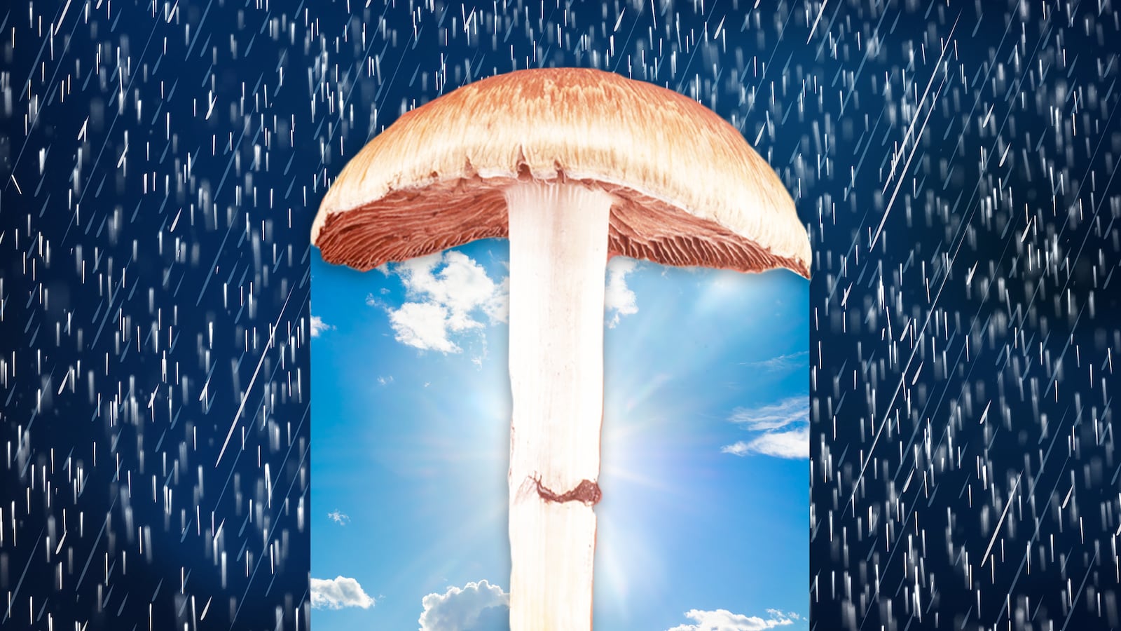 211203-psychedelics-depression-embed-tease-01_sortyz