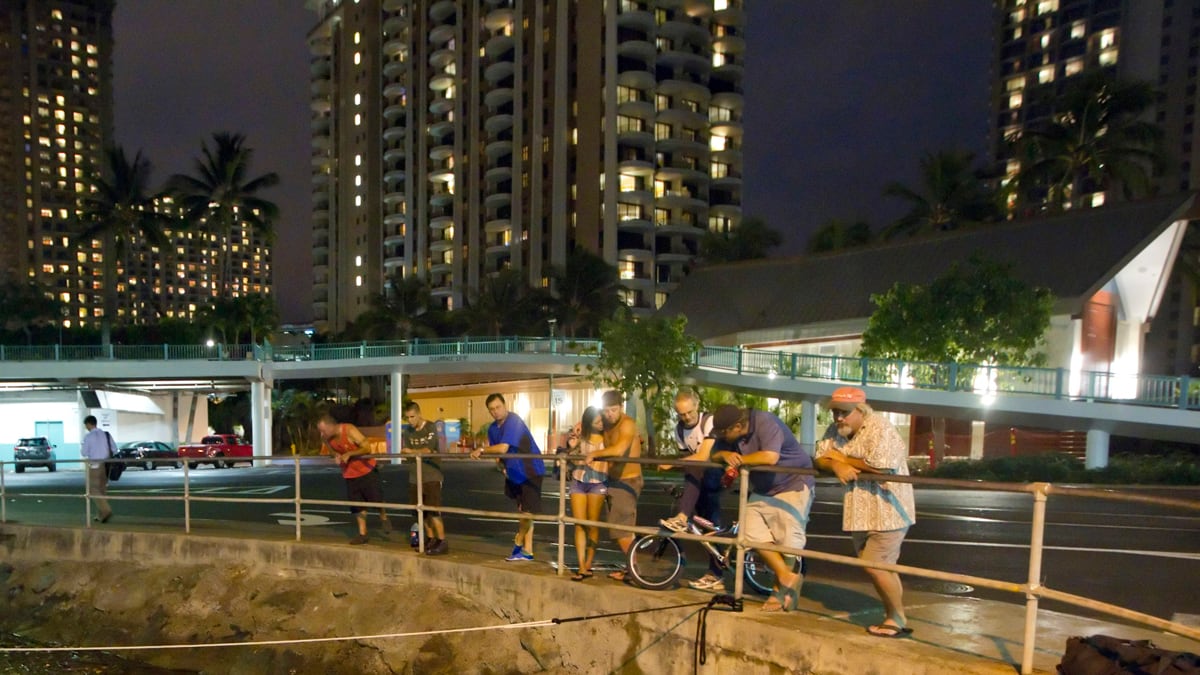 cheats/2012/10/28/7-7-earthquake-off-canada/hawaii-tsunami-cheat_xwmpsr