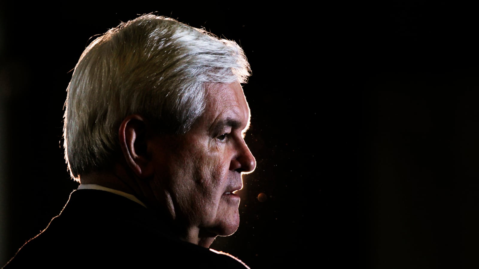 articles/2012/01/30/meghan-mccain-on-why-newt-gingrich-should-quit-after-florida-primary/newt-should-quit-mccain_t09dwl