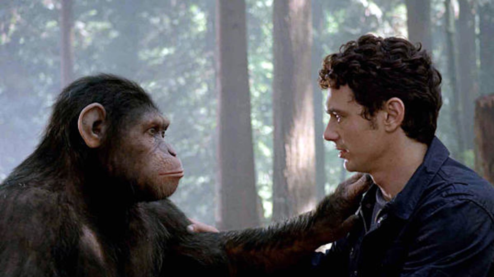 cheats/2011/08/14/apes-tops-box-office/rise-of-the-planet-of-the-apes-cheat_jfkmut