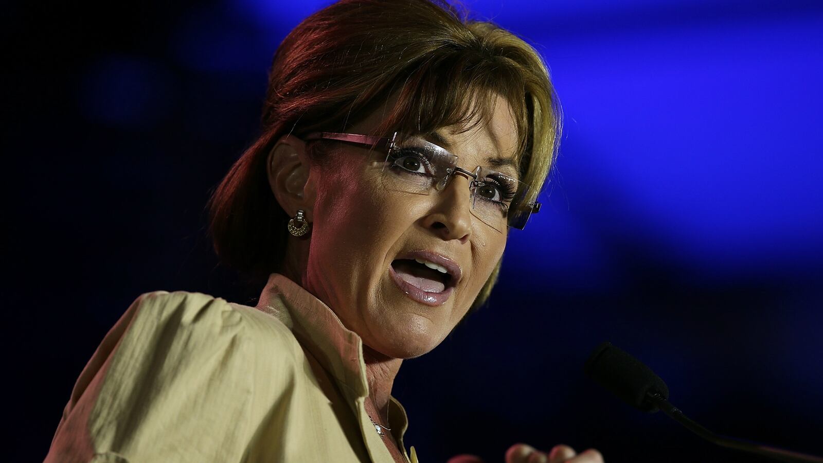 cheats/2014/09/13/palin-at-brawl-you-know-who-we-are/140913-palin-brawl-cheat_s7zzqh