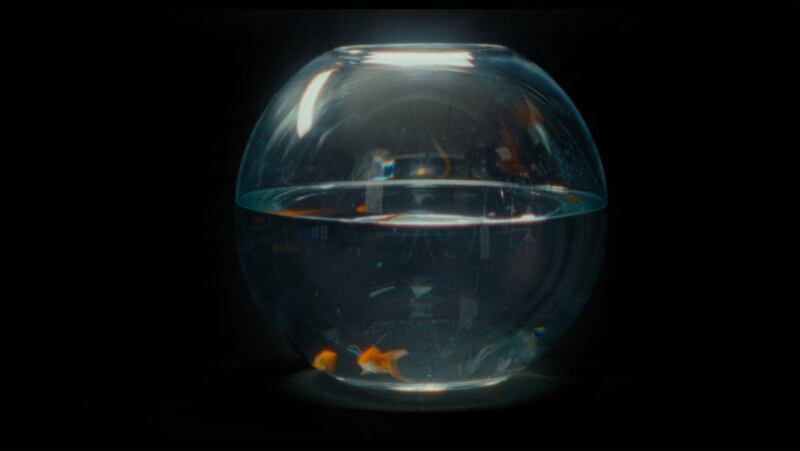 A still from 'Zodiac Killer Project'