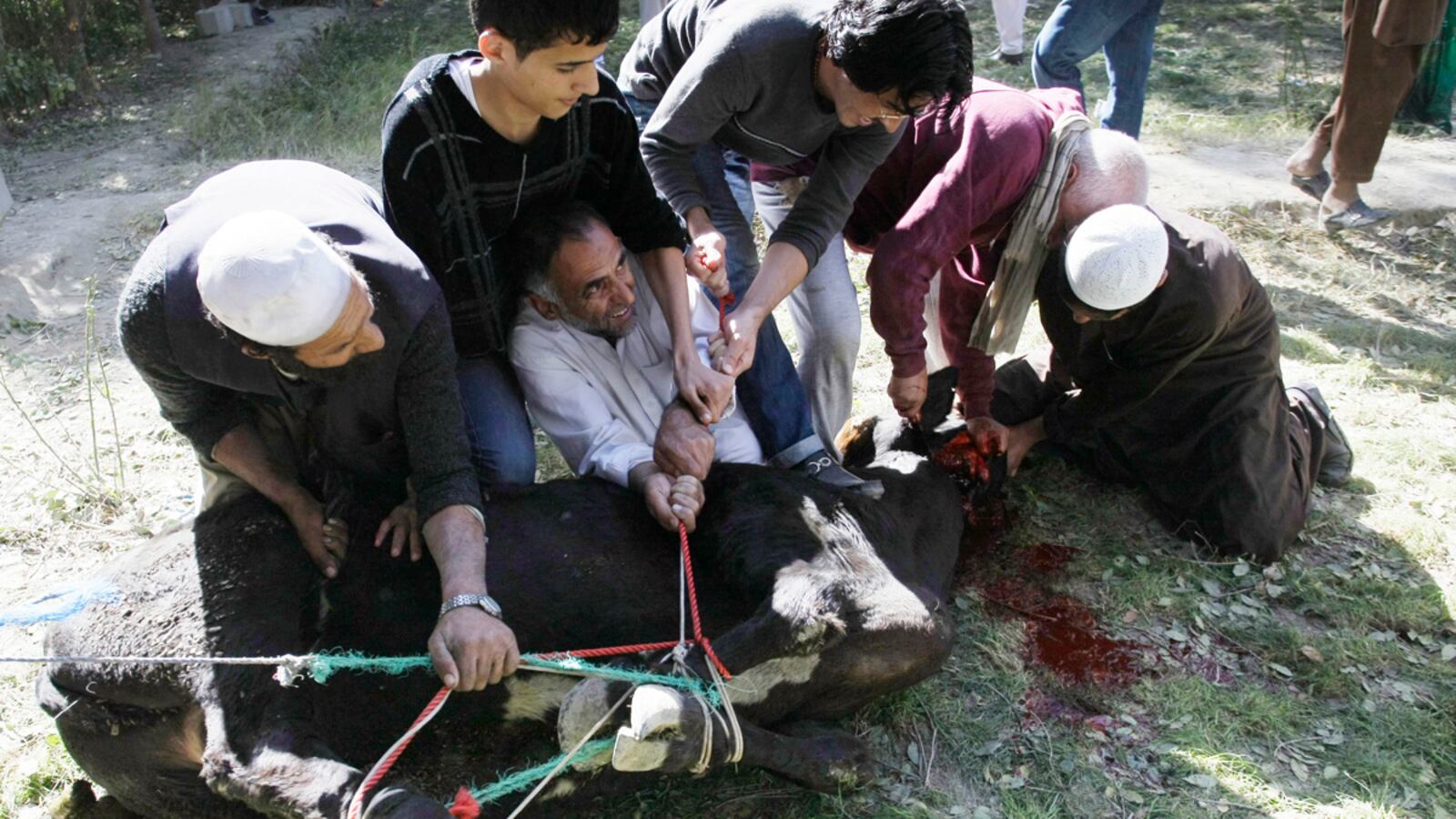 cheats/2012/10/26/afghan-suicide-bomb-kills-40/afghan-eid-bombing-cheat_crtzgd