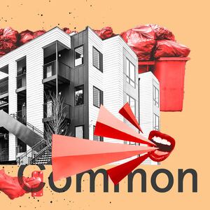 050722-kirsch-common-hero_bjh6xm