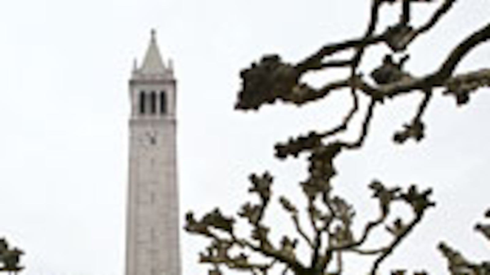 articles/2009/07/31/do-public-colleges-rip-off-students/schwartz-uc-berkeley_40798_f7kto4