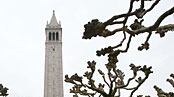 articles/2009/07/31/do-public-colleges-rip-off-students/schwartz-uc-berkeley_40798_f7kto4