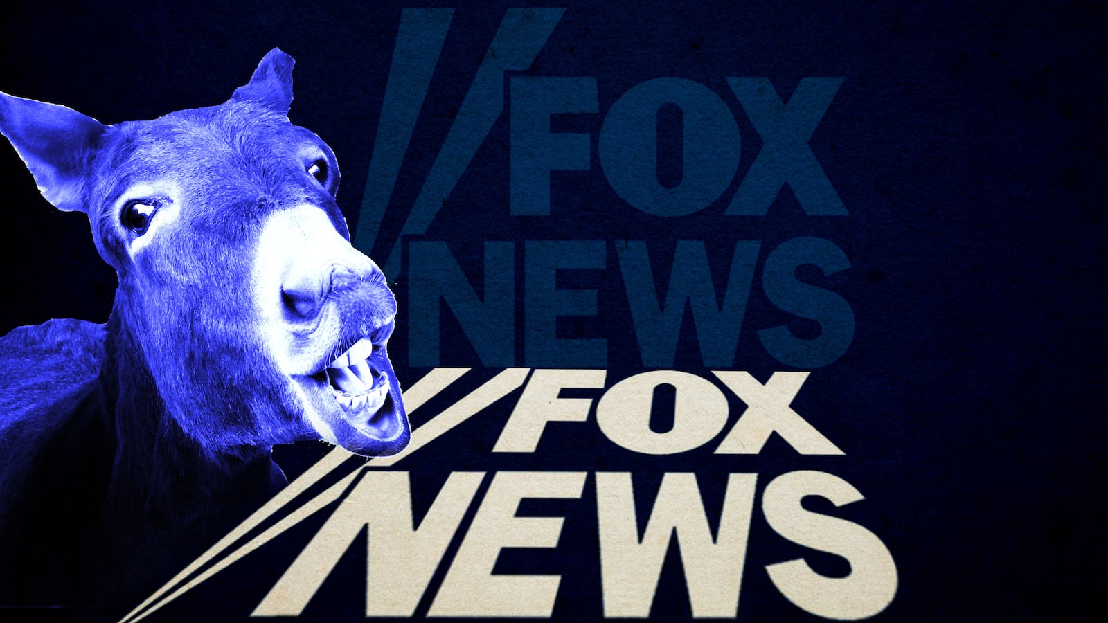 190224-tani-resnick-fox-news-dnc-tease_vqwoym