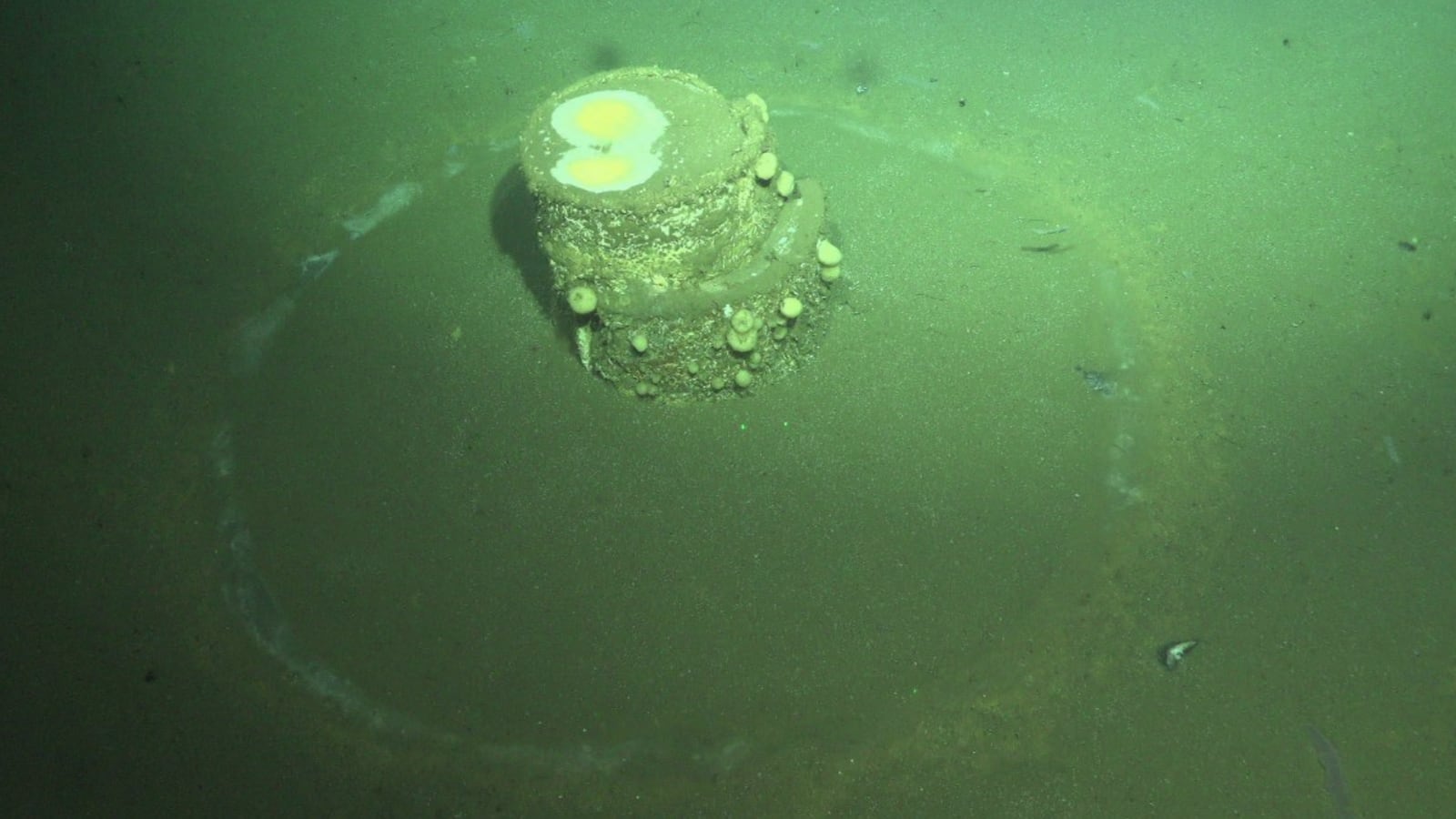 Barrel photographed by SuBastian showing the white halo on the ocean floor surrounding it.