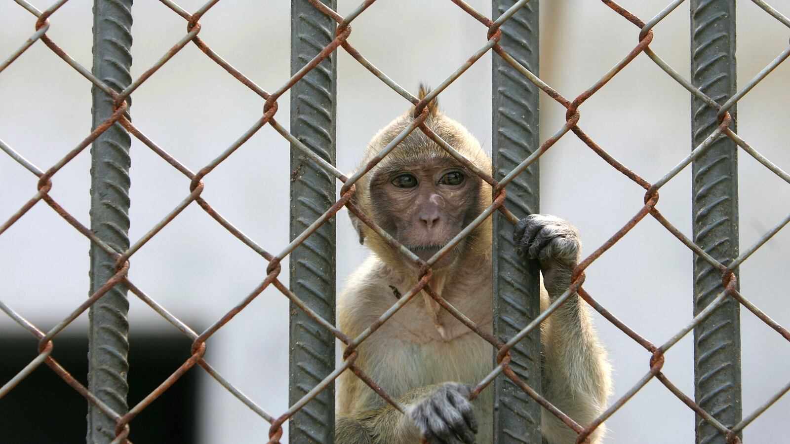 GettyImages-71707626_vo0ofl