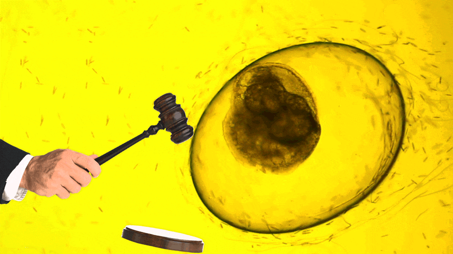 A180316-Brown--BrownNew-Embryo-Loss-Lawsuit-hero_copwny