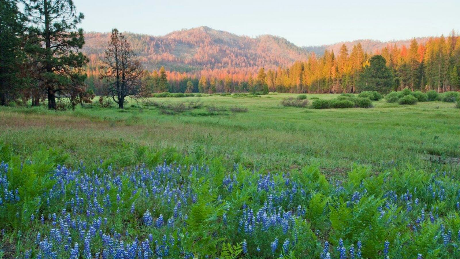 cheats/2016/09/29/yosemite-head-quits-amid-harassment-suit/160929-yosemite-cheat_gwebta