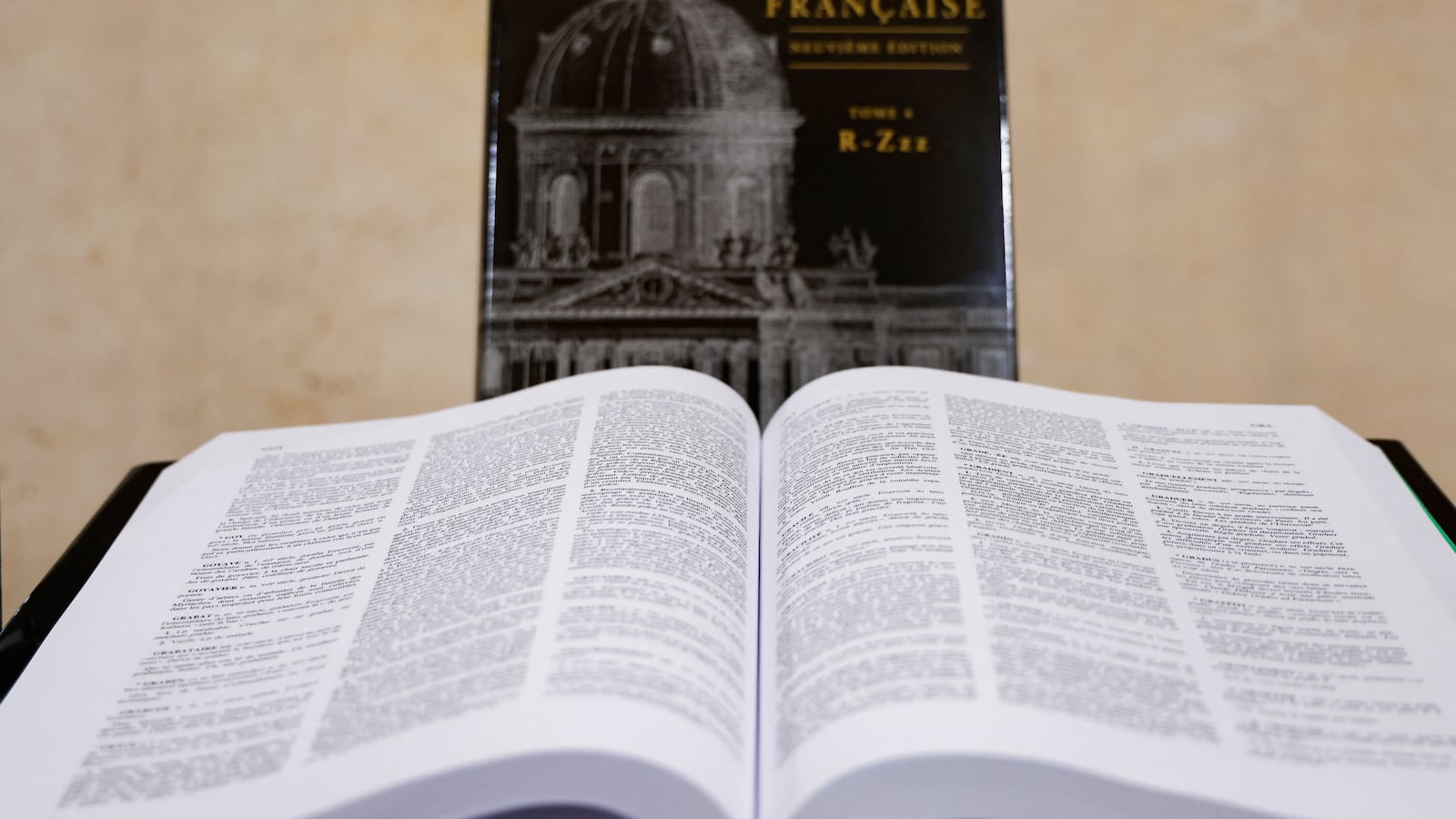 The 9th edition of the Dictionnaire de l'Academie Francaise, which is the official dictionary of the French language, is shown at the Institut de France in Paris on November 14, 2024.