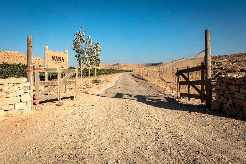 200207-Warkentin-Hippie-Outdoors_Paradise-embed4_ngn1vp