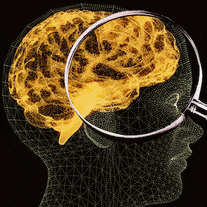 220613-Fauzia-brain-networks-tease_igtznl