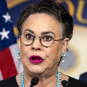 Rep. Harriet Hageman