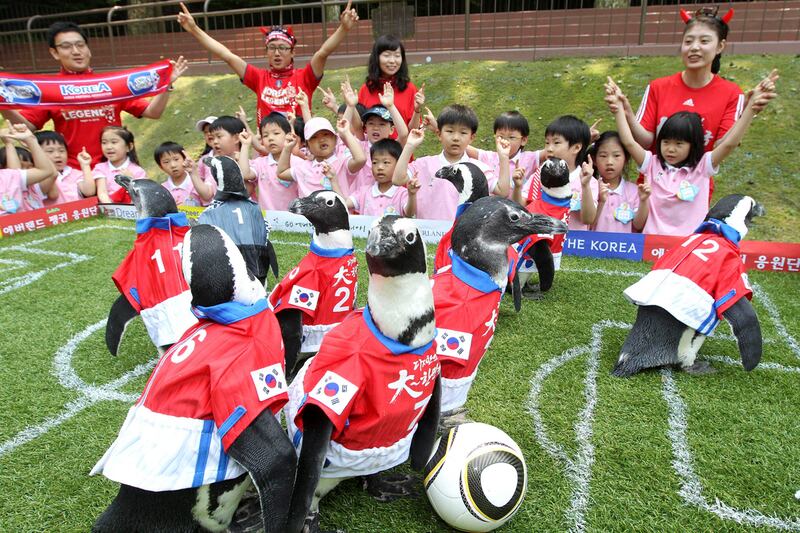 galleries/2011/10/24/best-dressed-penguins/best-dressed-penguins-1_lhrqrg