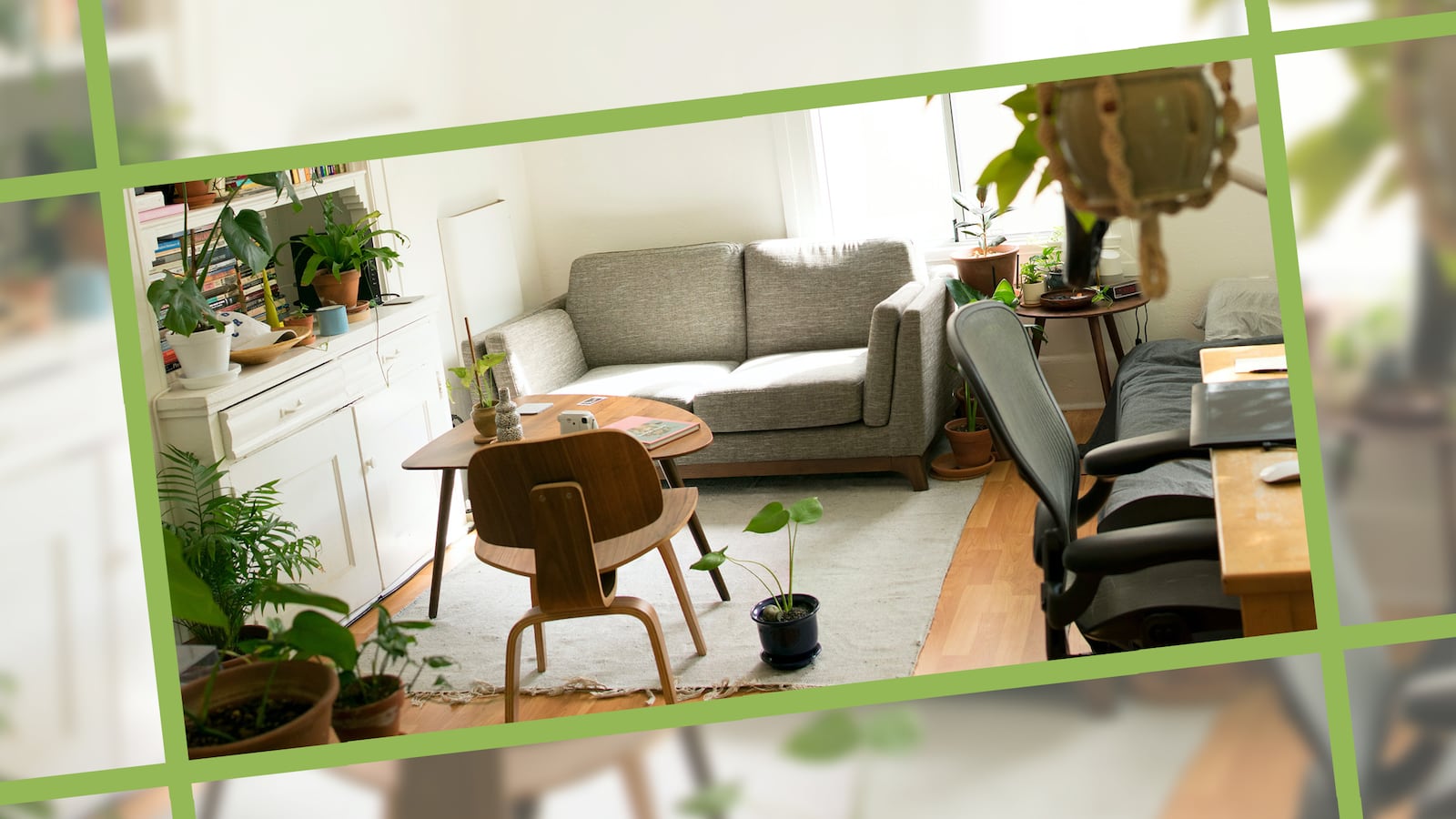 plantcaddyhero_wqvqjv