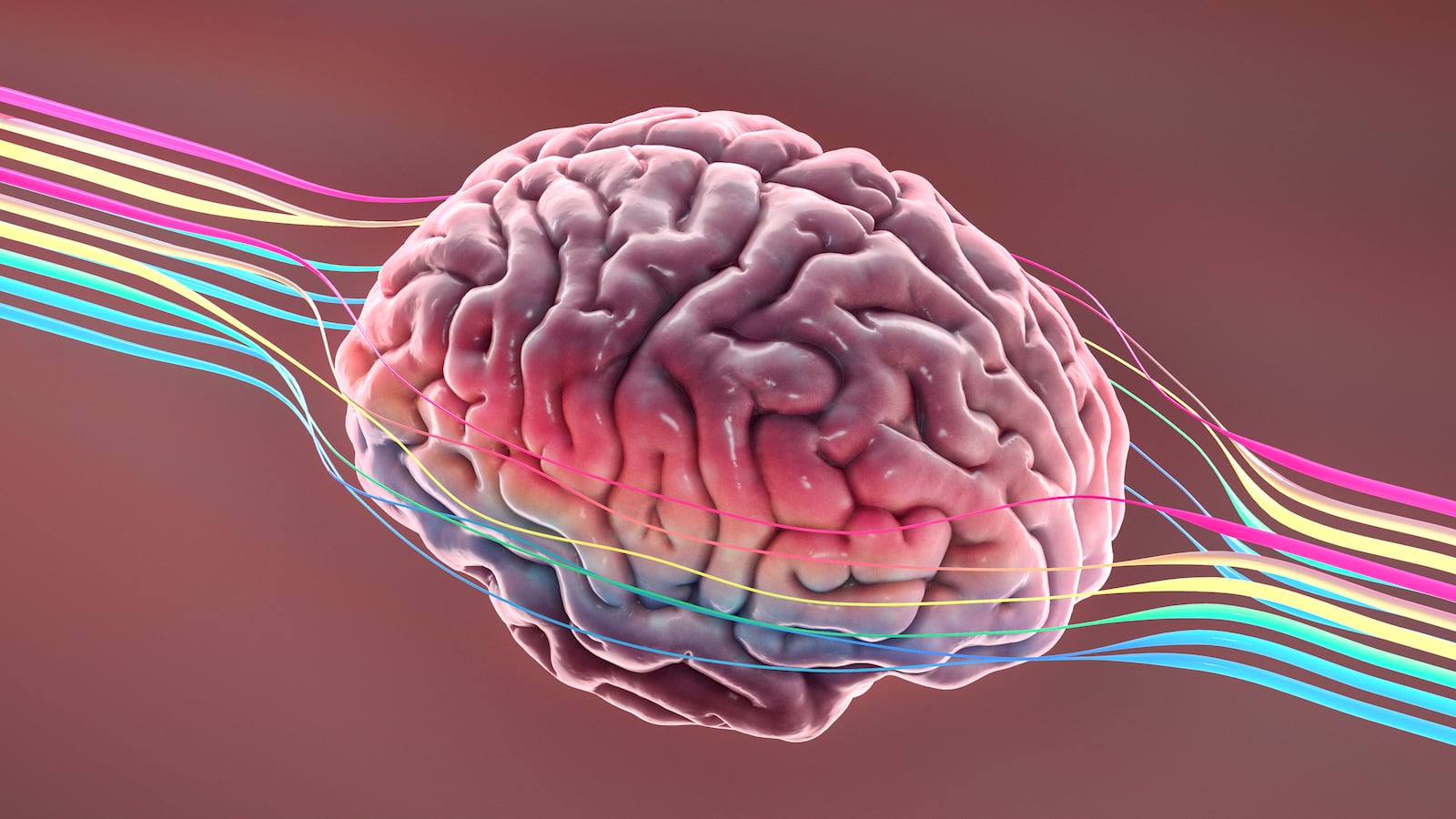 GettyImages-1130537061_kh8w8r