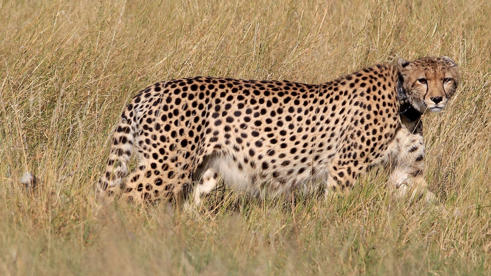 GettyImages-102063913_1_sld57d