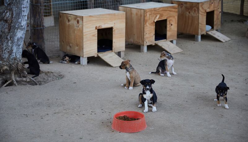 190512-ross-baja-california-3_uq8lhd