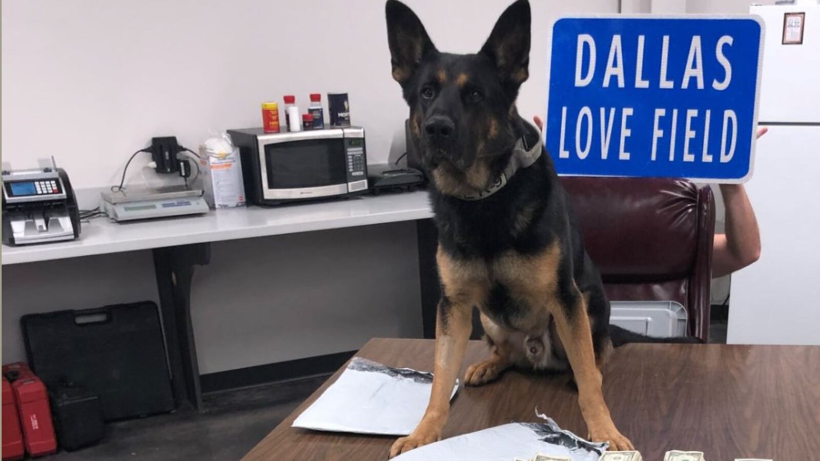 Screen_Shot_2022-01-13_at_11.14.22_AM_rqc82t