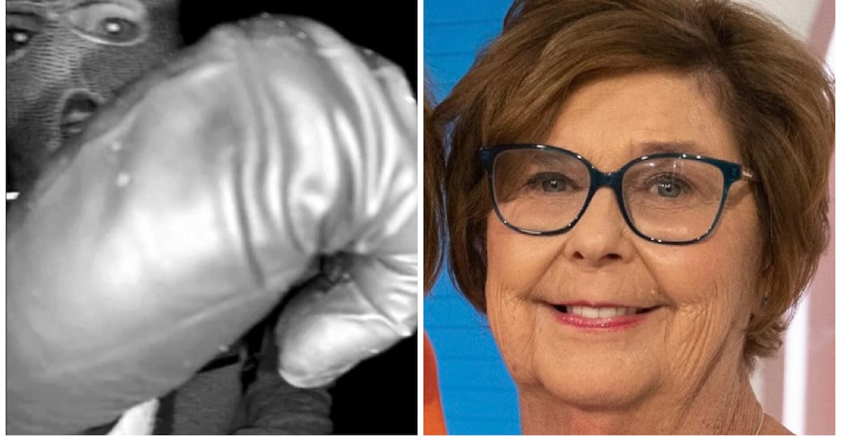 Feds Turn Manhunt for Nancy Guthrie Abductor Global