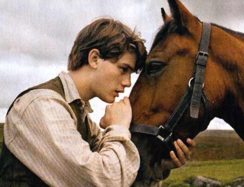 galleries/2011/09/08/25-must-see-fall-movie-preview-2011-photos/warhorse-fall-movies-2011-gal_a1htxg