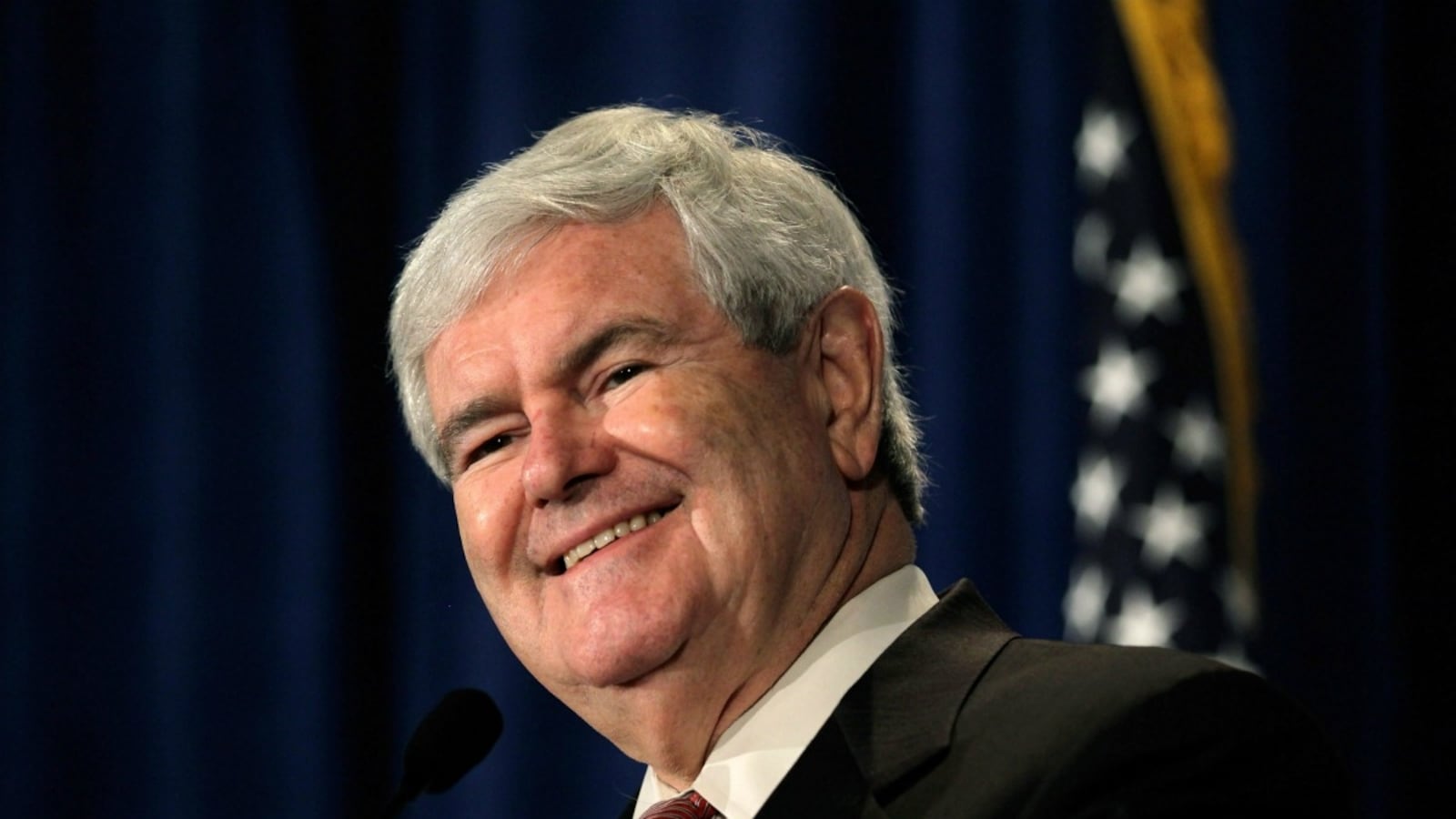 articles/2012/01/17/south-carolina-and-food-stamps/newt-gingrich-food-stamps_aeaynb