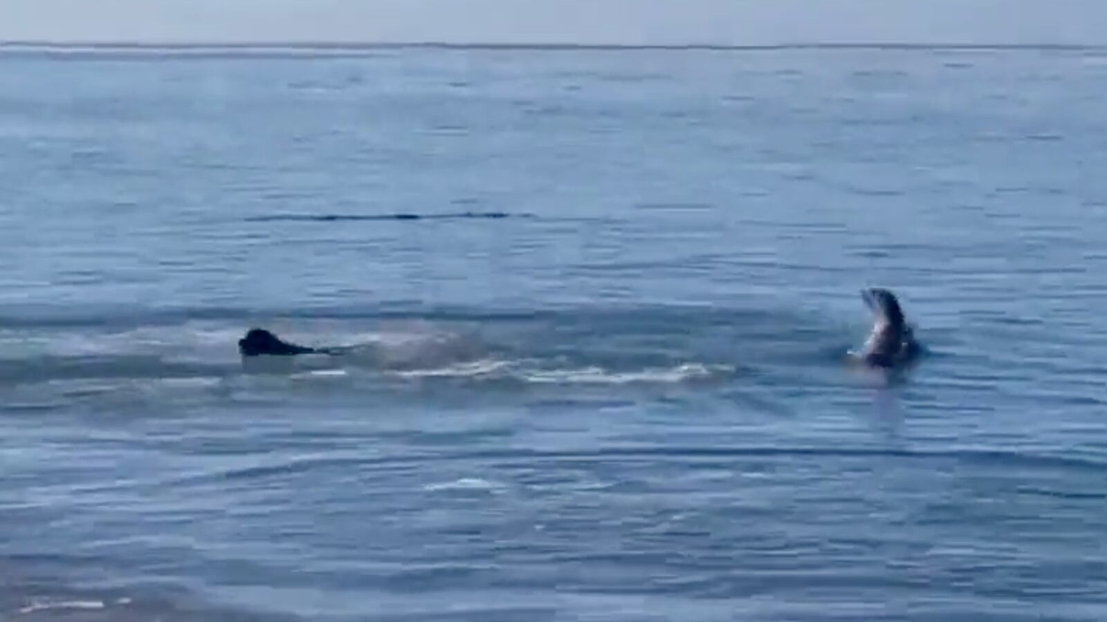 Screenshot_2022-09-07_at_14.03.12_sfipae