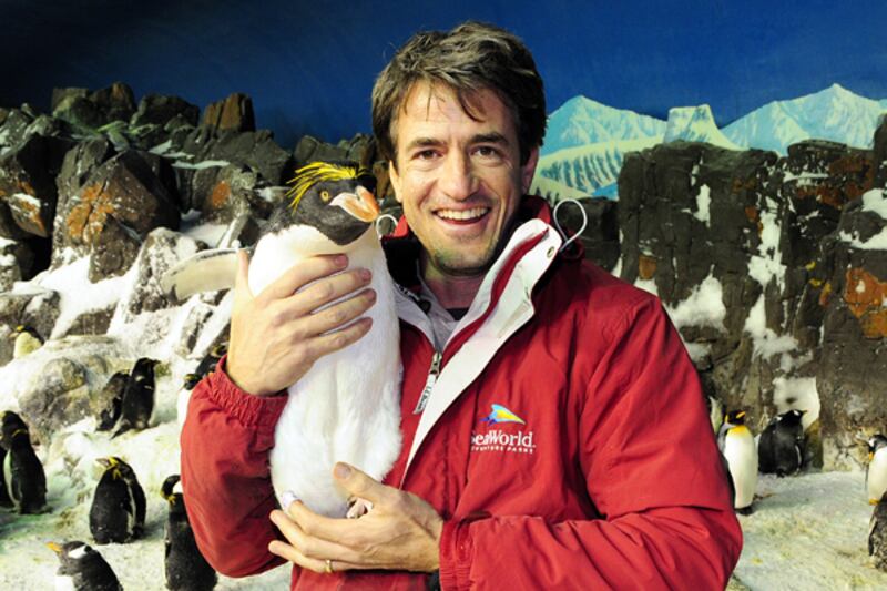 galleries/2012/04/25/happy-world-penguin-day-celebration-of-the-headline-making-creatures-photos/penguin-headlines-dermot-mulroney_dvhuk5