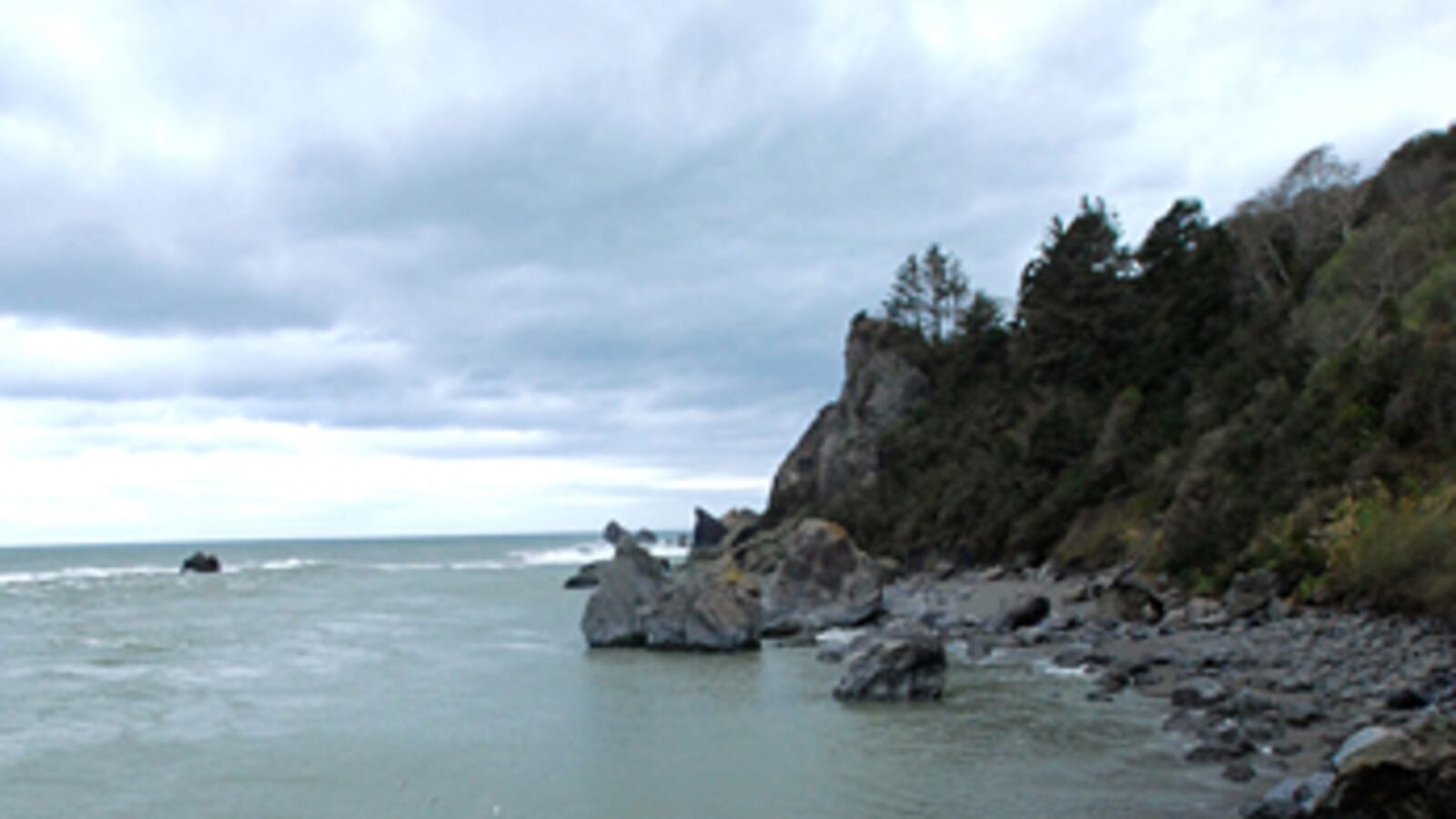cheats/2011/04/12/tsunami-victim-found-in-oregon/california-tsunami-death_x2n05s