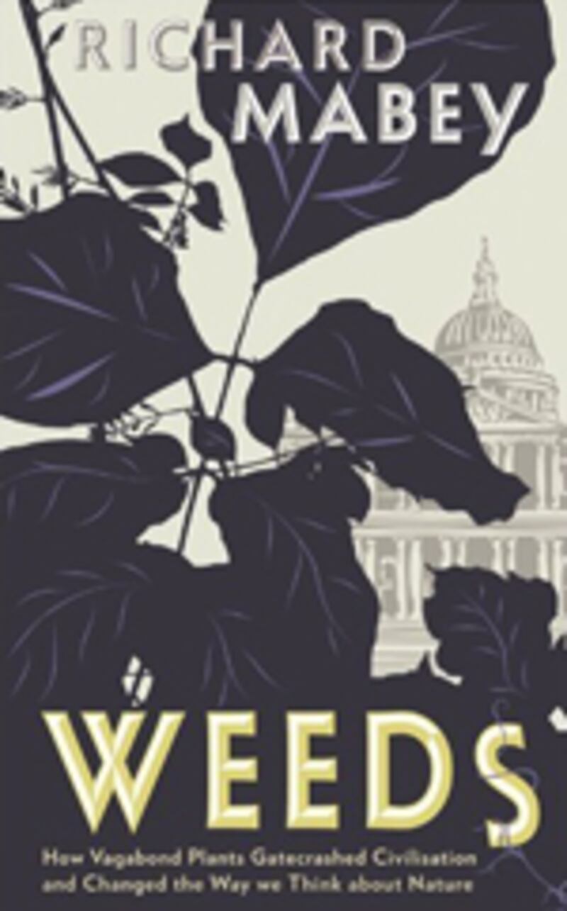 articles/2010/12/17/ingrid-betancourt-mario-vargas-llosa-and-other-tls-reads/book-cover---weeds_wfznu2