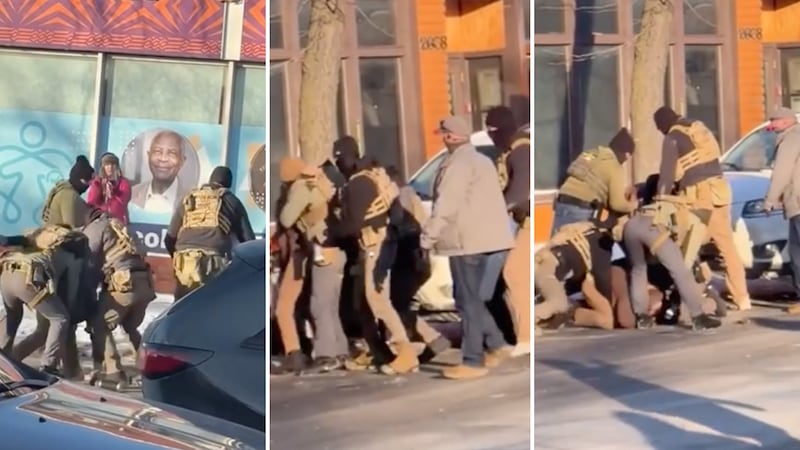 The killing of Alex Pretti by Ice Agents from multiple angles.