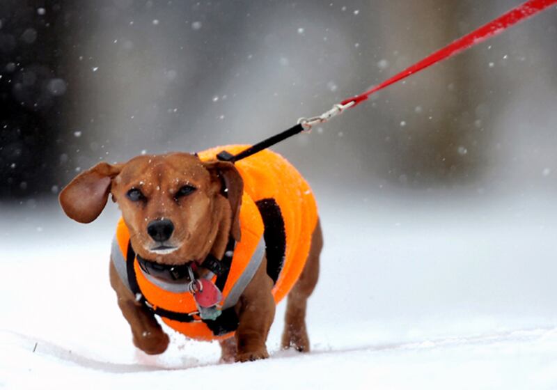 galleries/2010/12/10/america-s-25-coldest-cities/coldest-cities---butte-silver-bow_xzqver