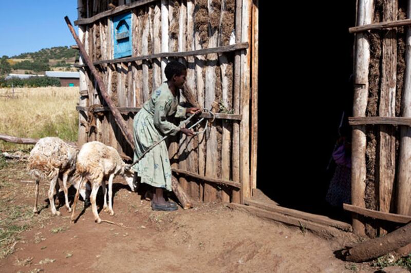 galleries/2009/11/18/girls-fight-back-against-child-marriage/women-13_r5muhq