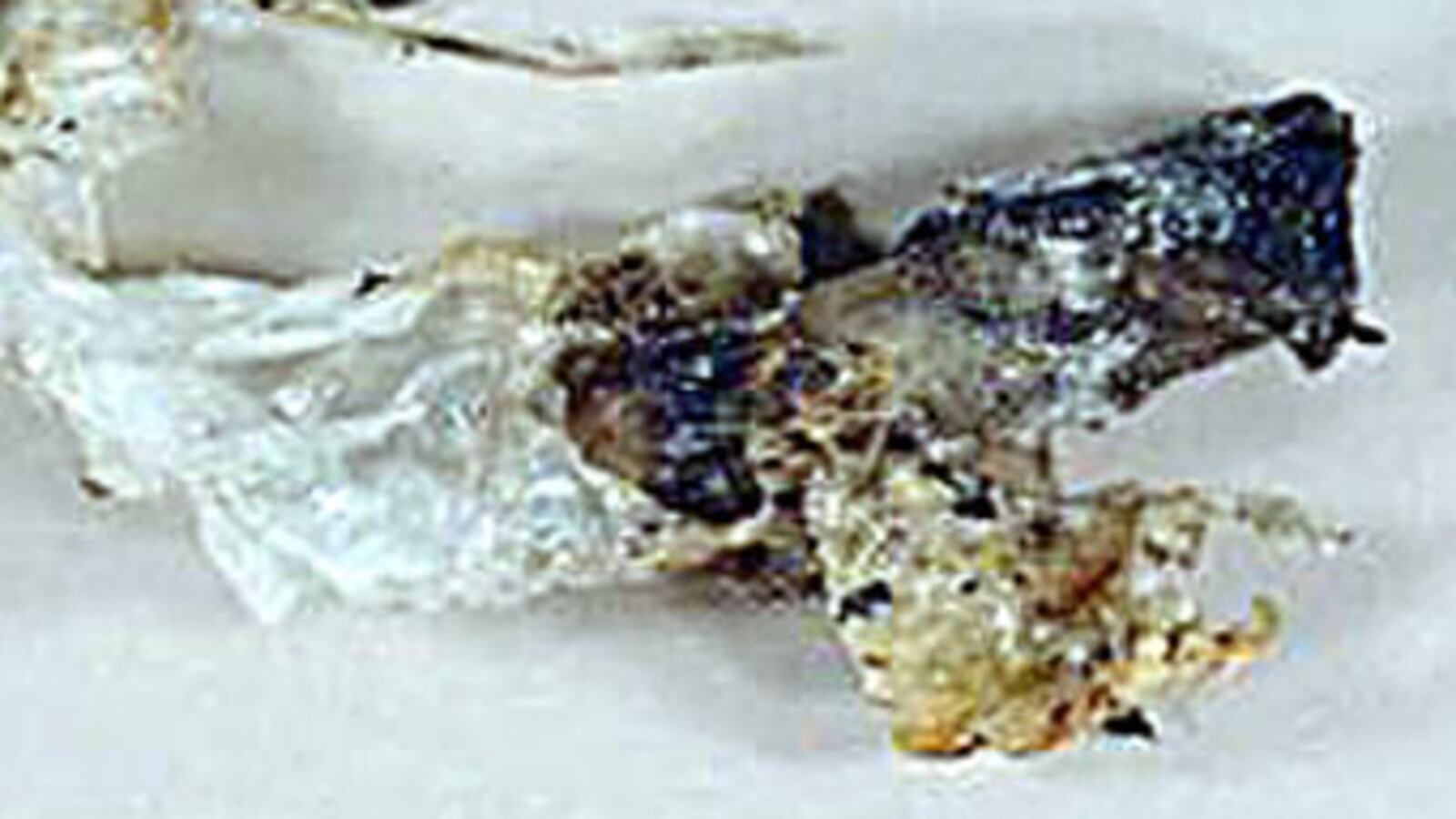 GettyImages-95471671_chujfp