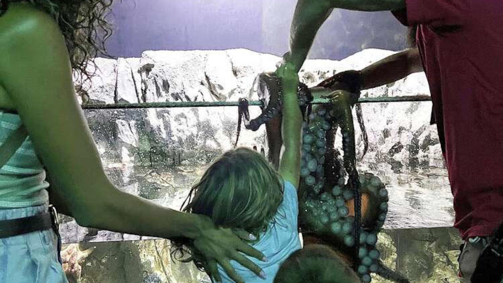 Mom Freaks Out After Son, 6, Attacked By Octopus in Aquarium