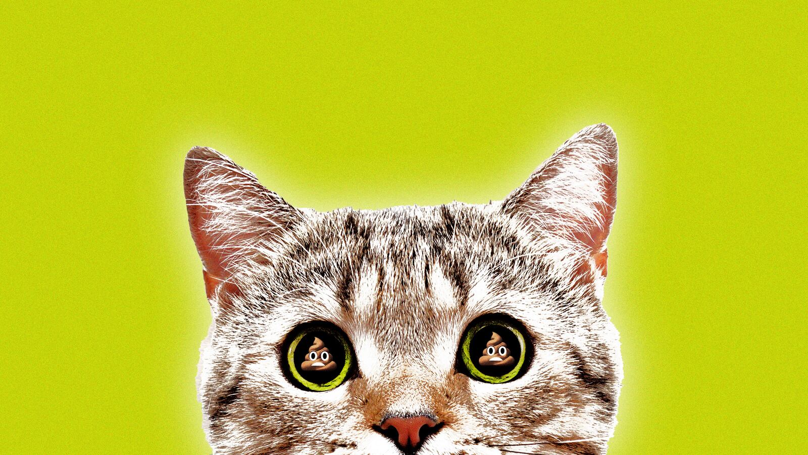 230621-Patel-cat-poop-parasite-tease_zf1axc