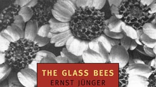 articles/2012/07/23/the-glass-bees/glassbees_wgleuj
