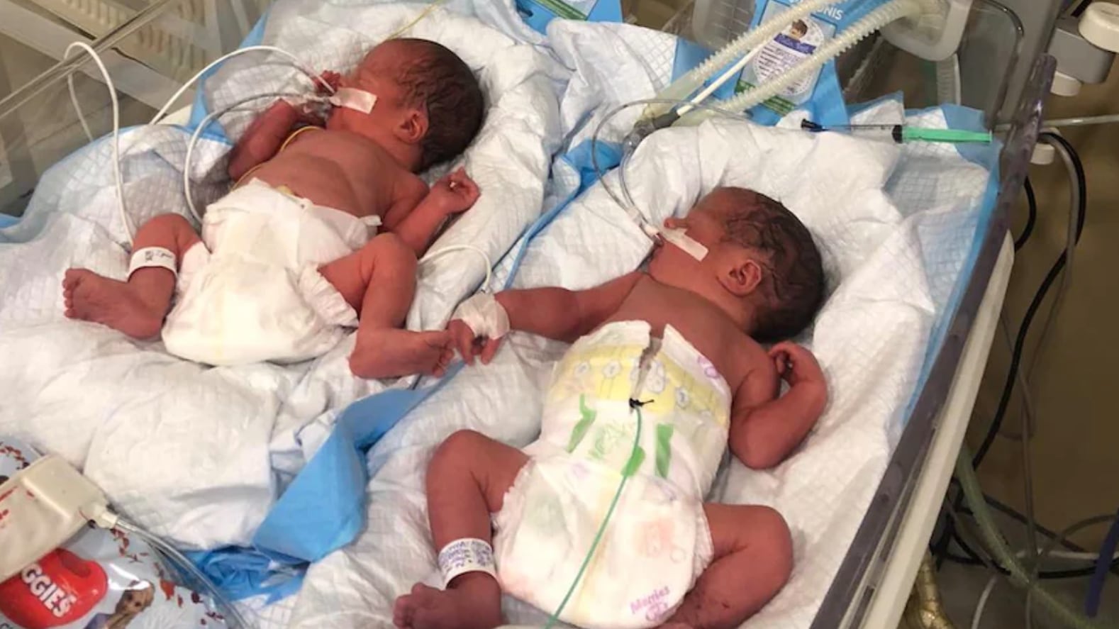 Screen_Shot_2022-03-01_at_3.58.55_PM_sj9erb