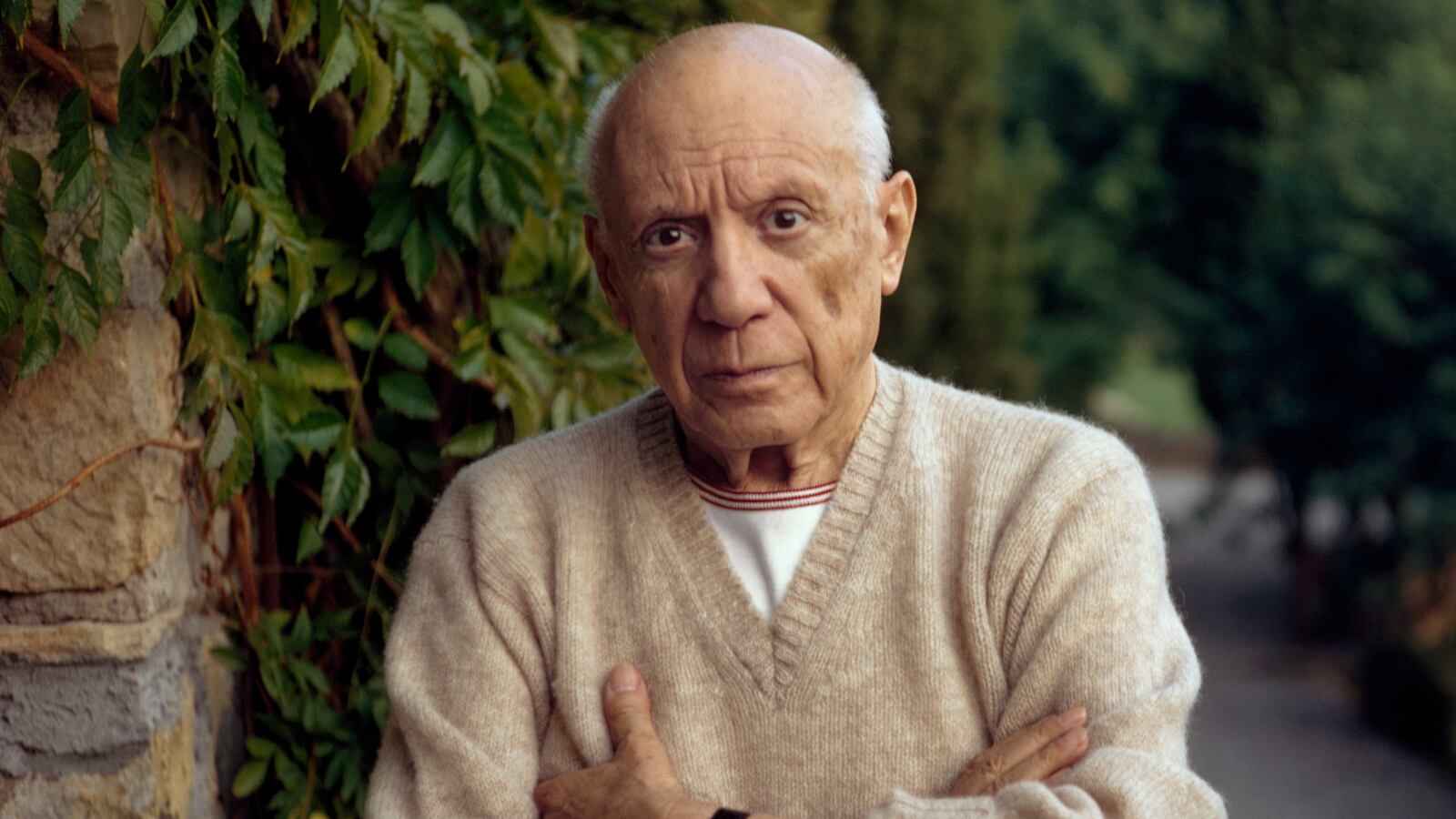 MOUGINS, FRANCE - 1966 : Pablo Picasso standing by a green fern with folded arms, wearing a cashmere sweater. (Photo by Tony Vaccaro / Getty Images)
