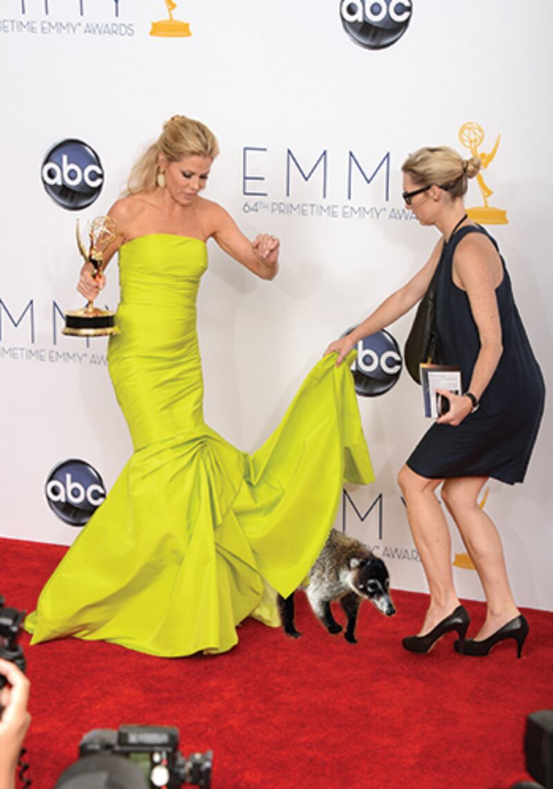 galleries/2012/09/24/animals-crash-the-emmys-photos/julie_bowen_raccoon_tatkkt
