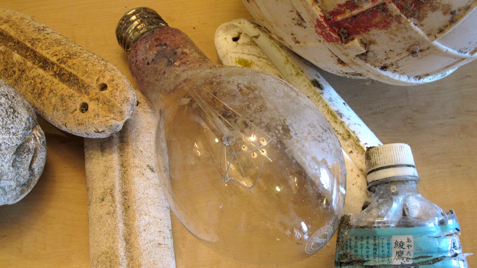 articles/2012/09/07/as-japan-s-tsunami-debris-arrives-can-u-s-west-coast-handle-it/tsunami-debris-ross_ym2a8g